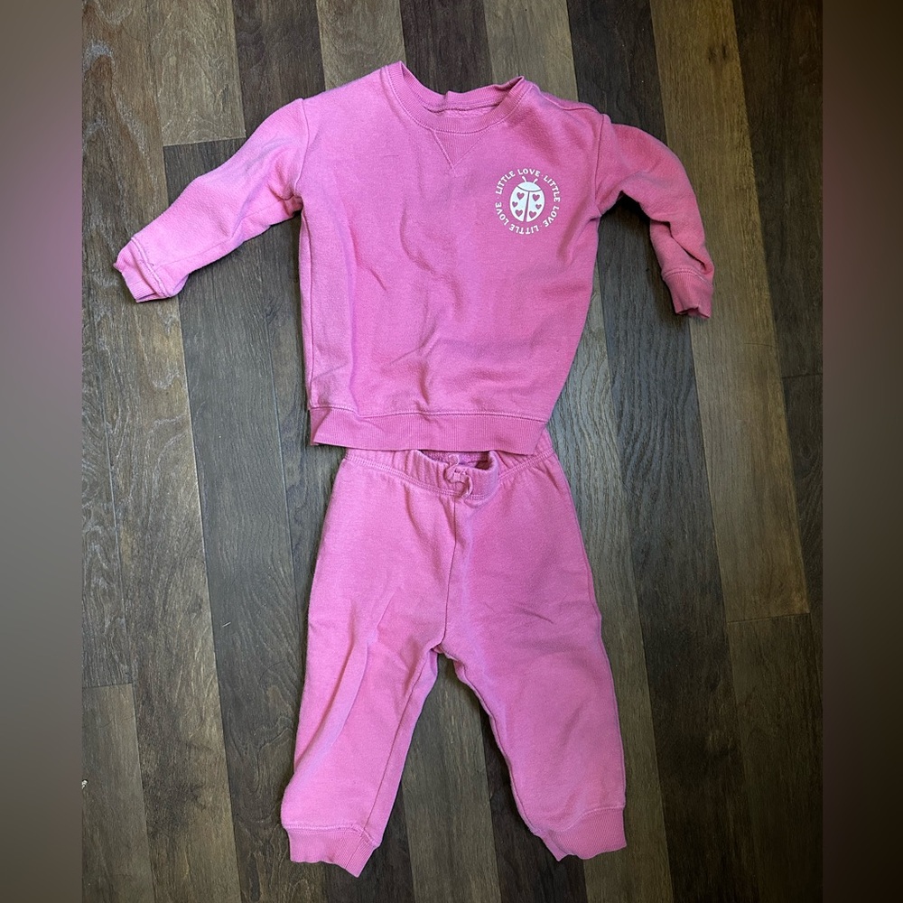 Little Love Bug Sweatsuit Toddler Girl Size 18 months